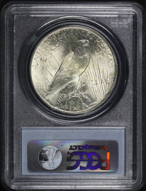 Reverse of this 1923 Peace Dollar PCGS MS-64