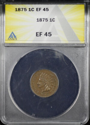 Obverse of this 1875 Indian Cent ANACS EF-45