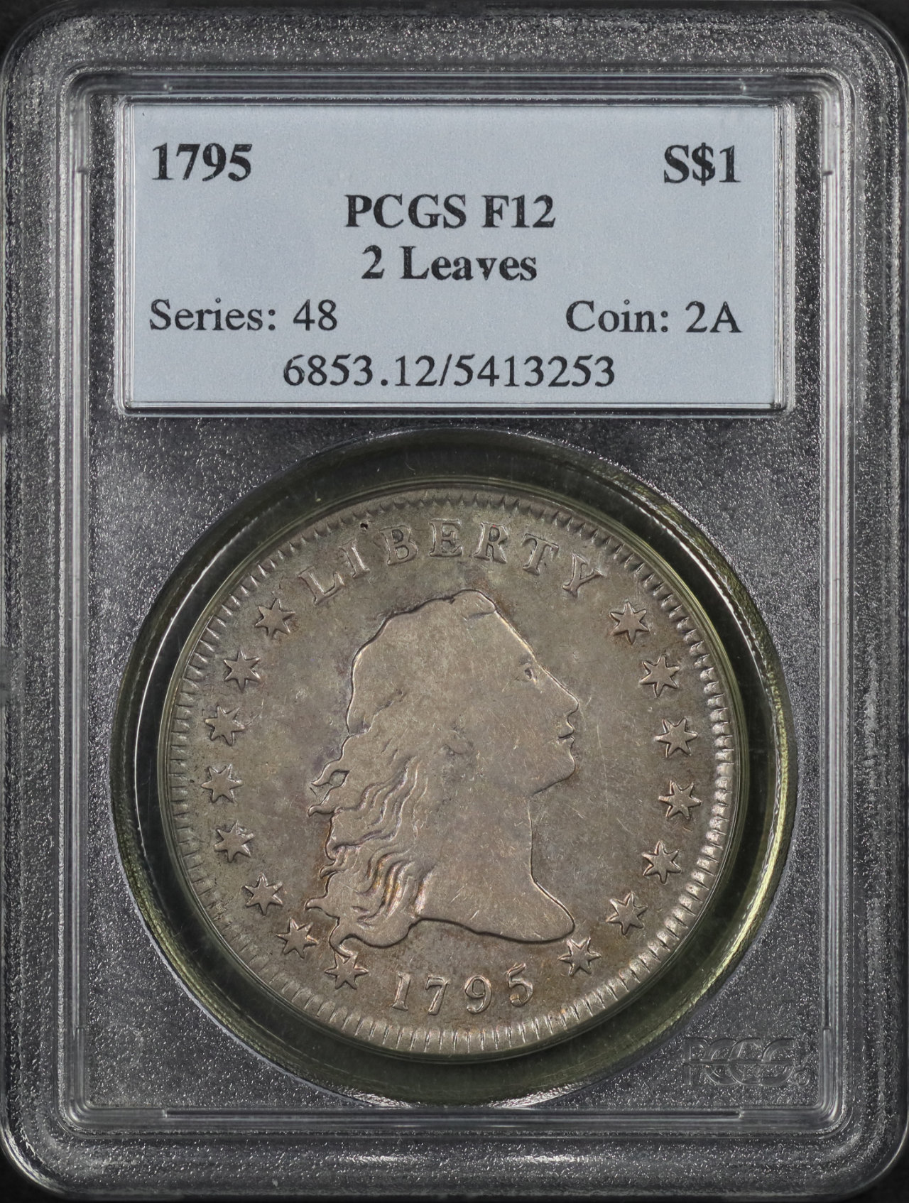 Obverse of this 1795 Flowing Hair Dollar Flowing Hair, 2 Leaves PCGS F-12
