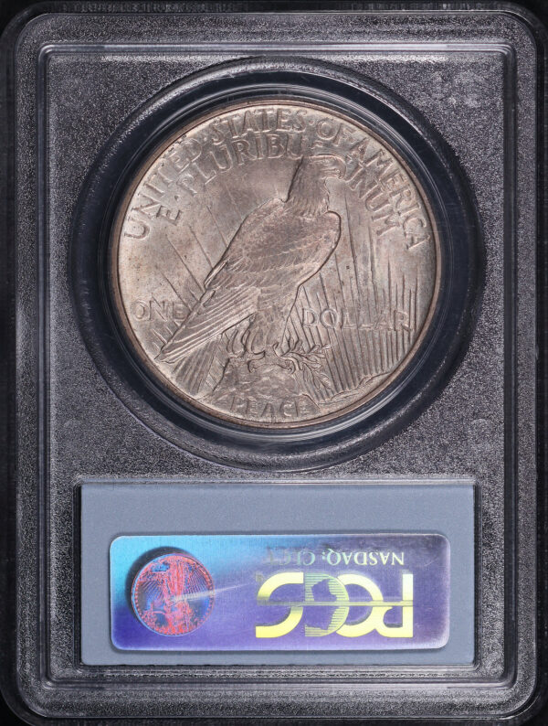 Reverse of this 1921 Peace Dollar PCGS MS-63