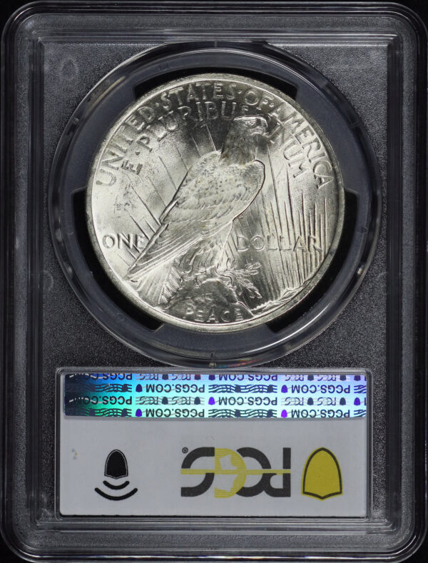 Reverse of this 1923 Peace Dollar PCGS MS-64
