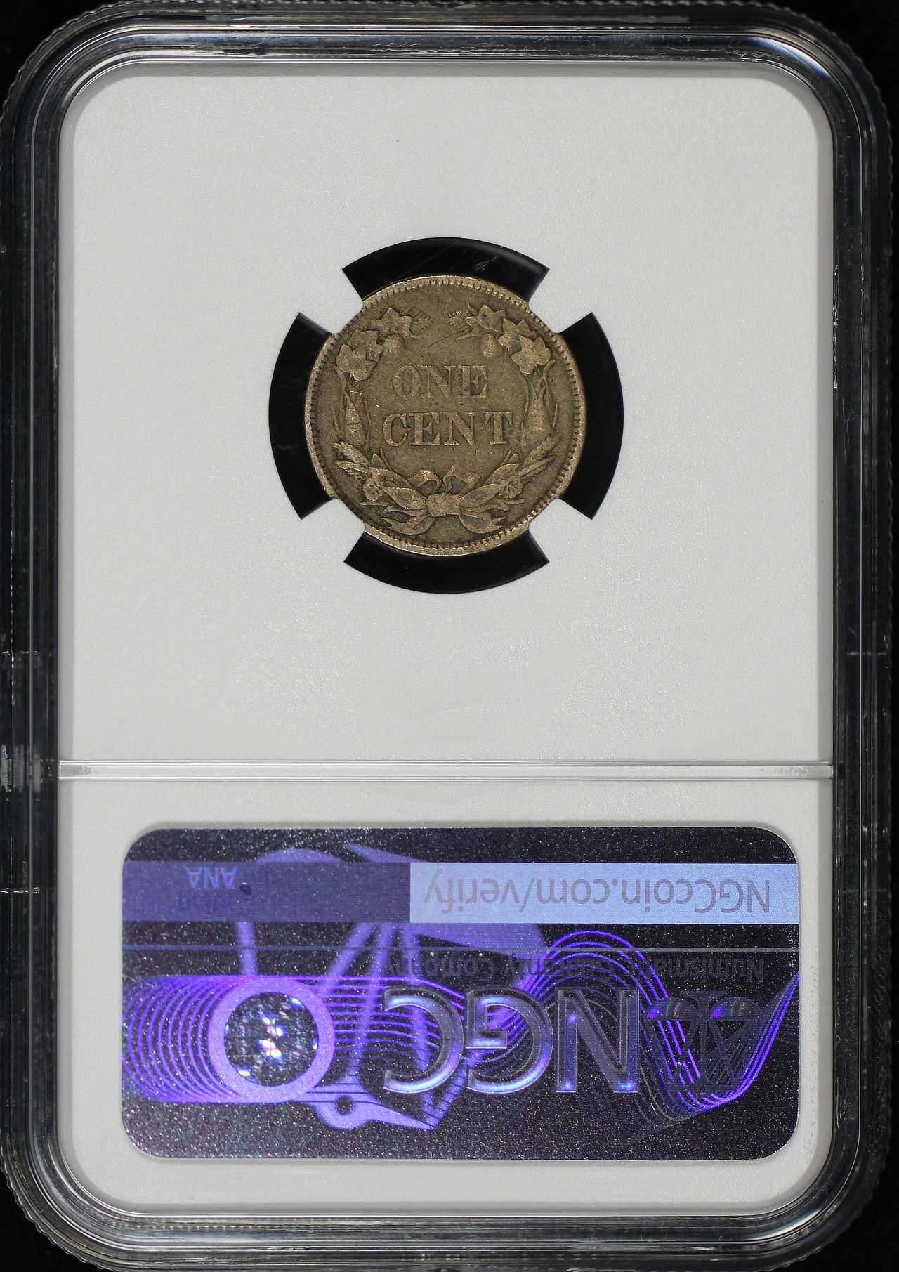 Reverse of this 1858 Small Letters Flying Eagle Cent NGC XF-40