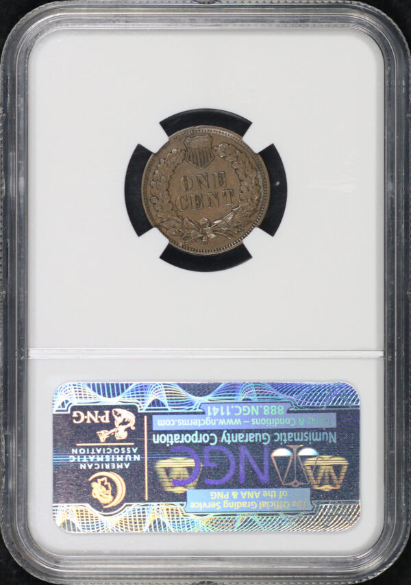 Reverse of this 1878 Indian Cent NGC AU-50 BN