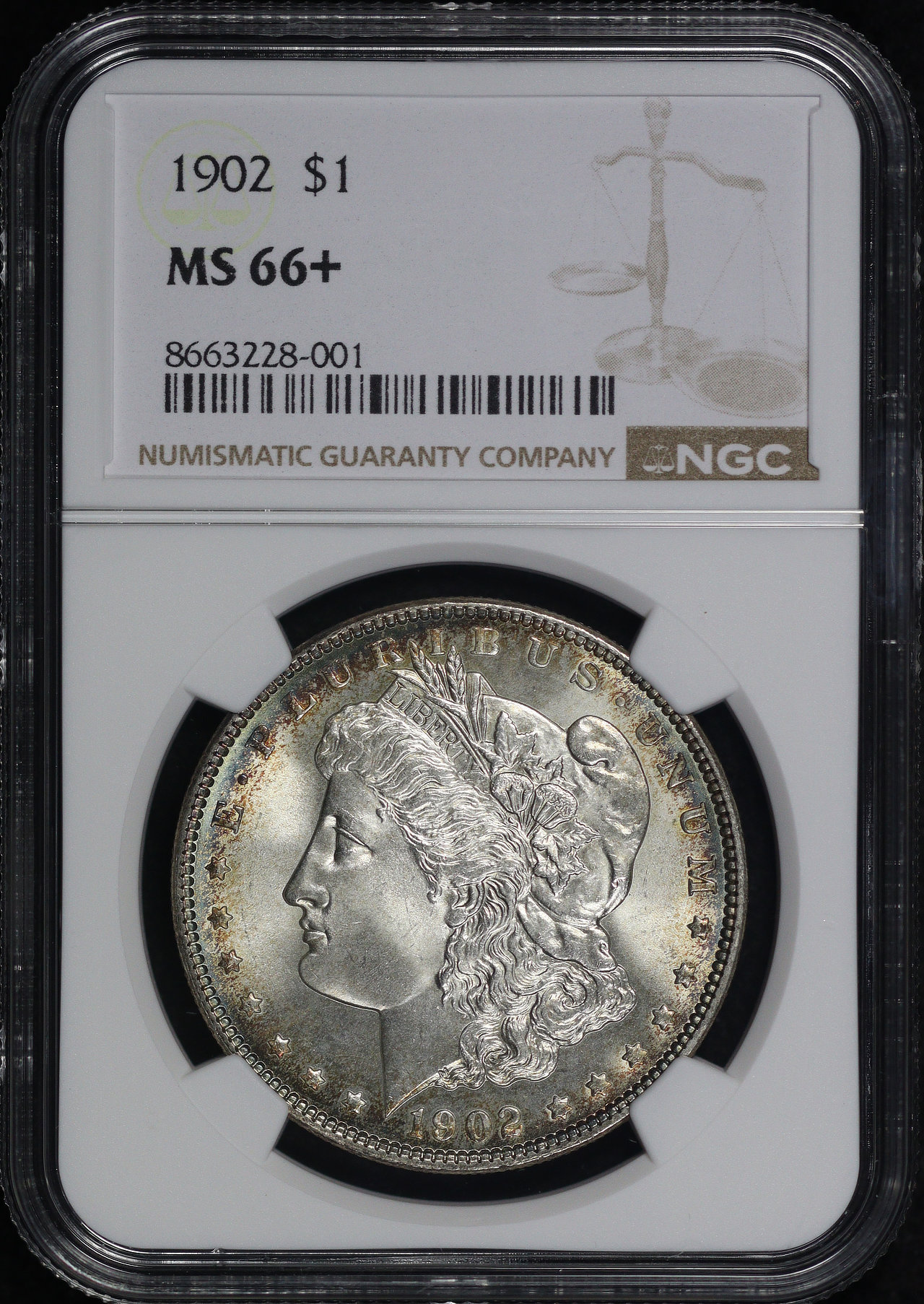 Obverse of this 1902 Morgan Dollar NGC MS-66+