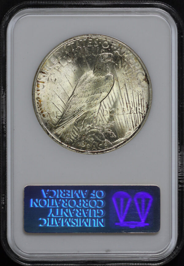 Reverse of this 1923 Peace Dollar NGC MS-64