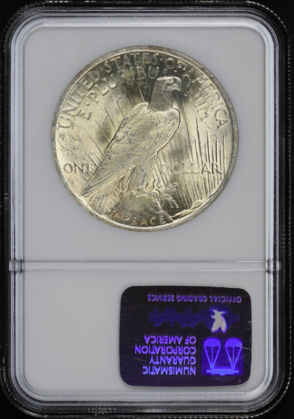 Reverse of this 1923 Peace Dollar NGC MS-64