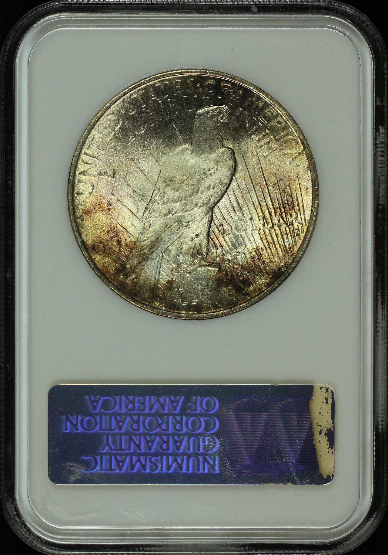 Reverse of this 1923 Peace Dollar NGC MS-65 Old Fatty Holder