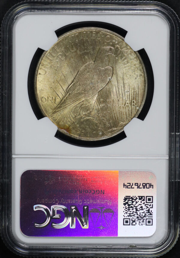 Reverse of this 1924 Peace Dollar NGC MS-64
