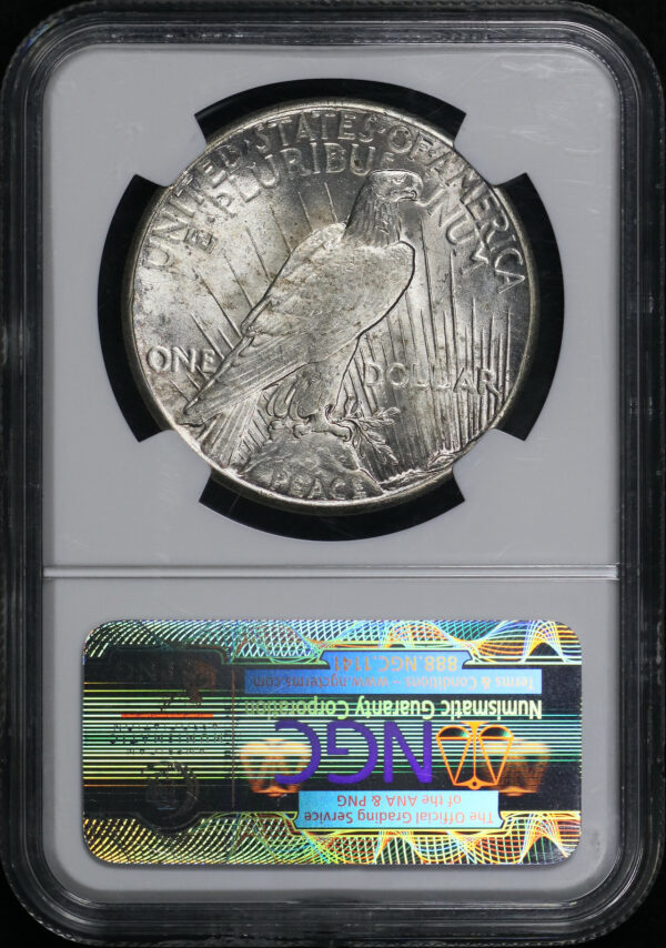 Reverse of this 1928 Peace Dollar NGC MS-62