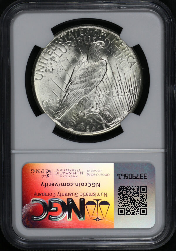 Reverse of this 1928 Peace Dollar NGC MS-62