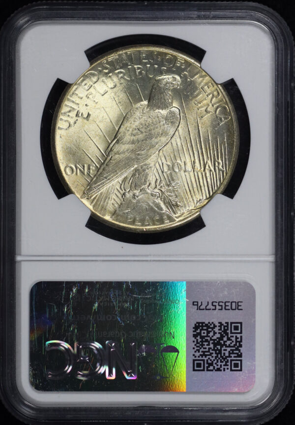 Reverse of this 1928 Peace Dollar NGC MS-65+