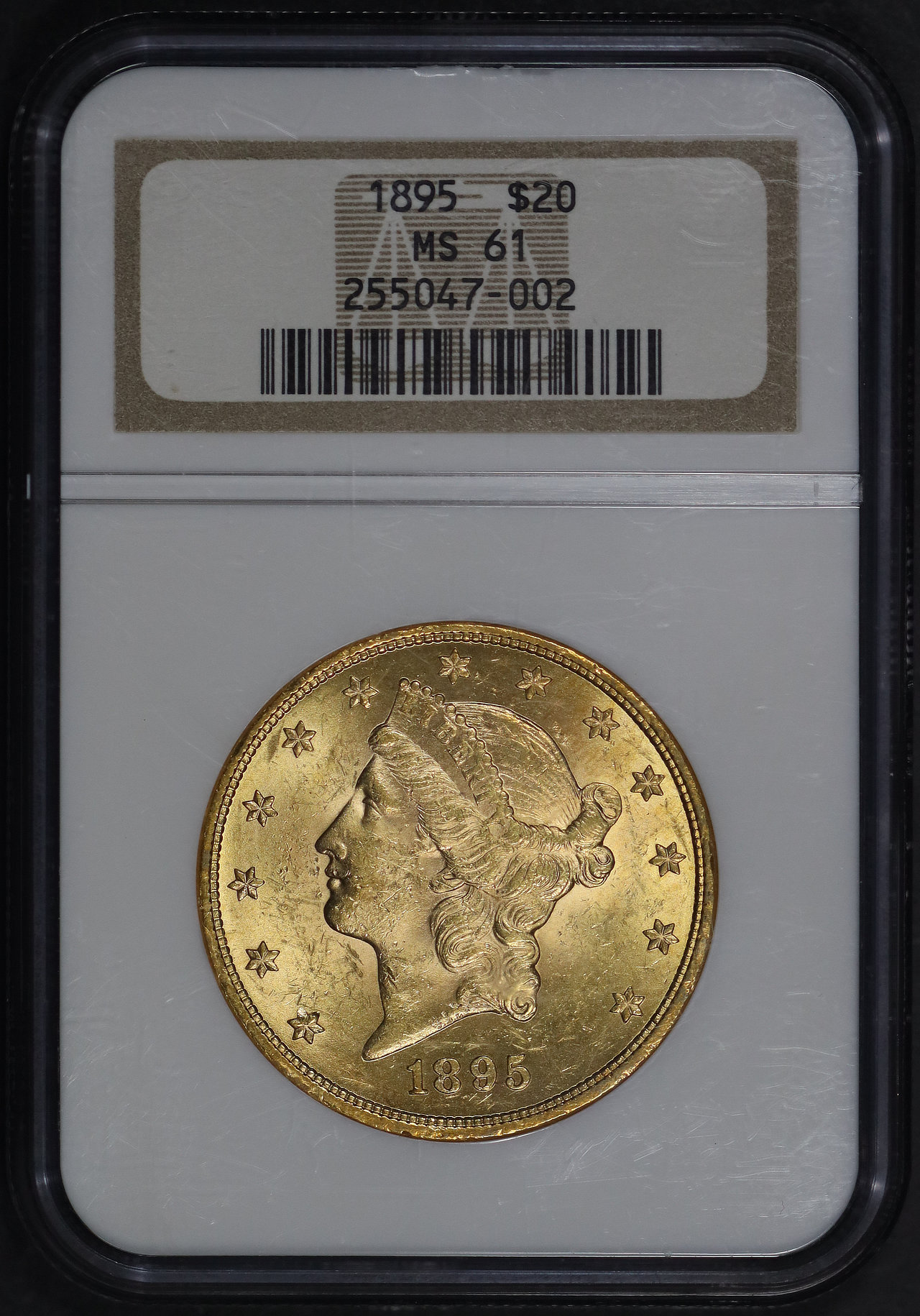 1895 Liberty Head $20 Type 3 NGC MS-61 | Northern Nevada Coin