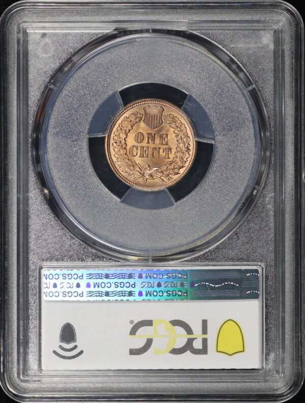 Reverse of this 1891 Indian Cent PCGS MS-65 RD CAC