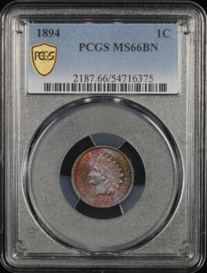 Obverse of this 1894 Indian Cent PCGS MS-66 BN Fiery Sunset Hue Toning