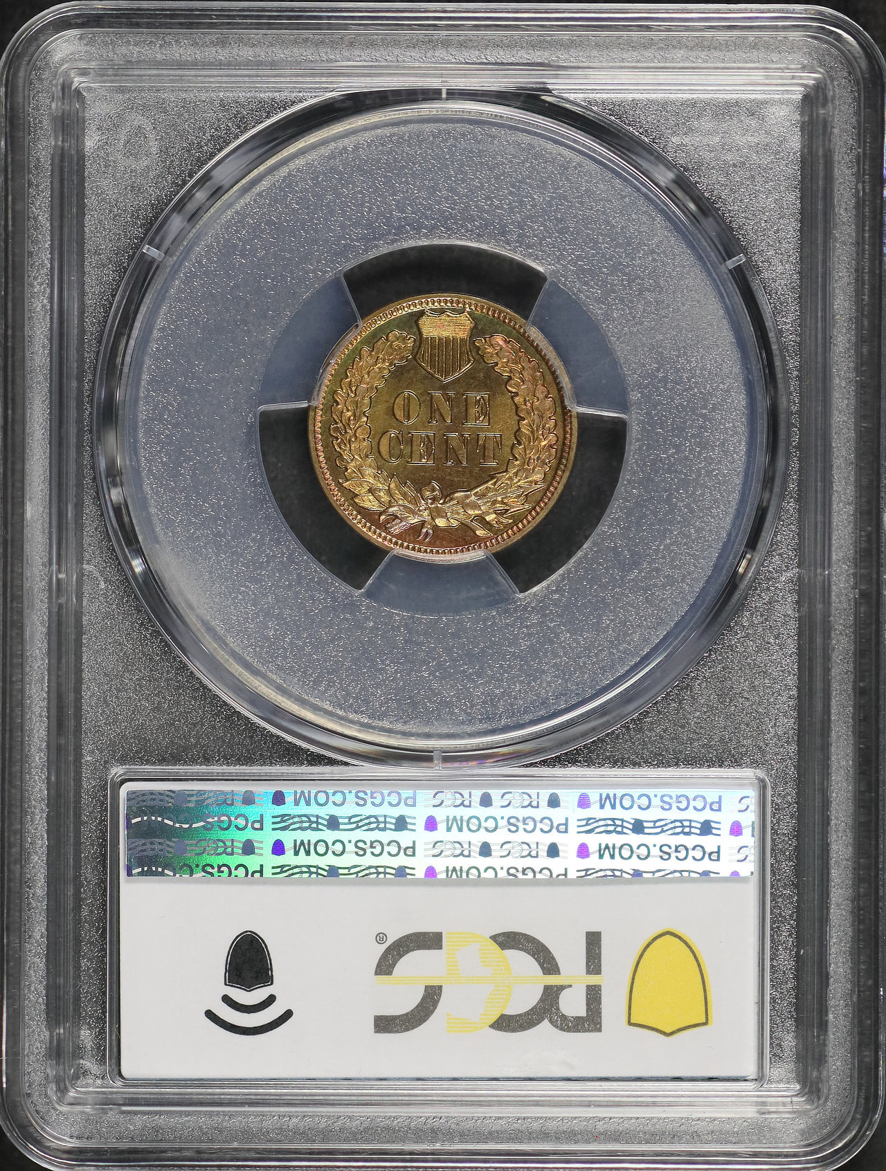 Reverse of this 1902 Indian Cent PCGS PR-66 RB Blueberry Obverse Monster Toning