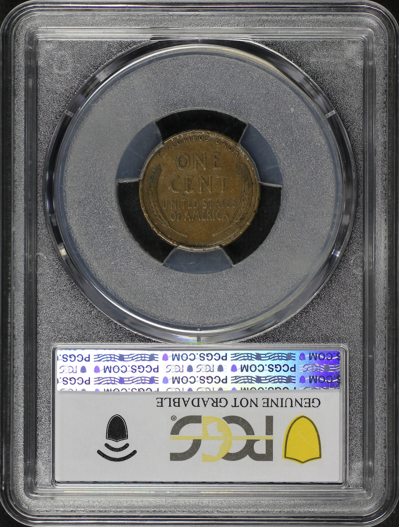 Reverse of this 1909-S VDB Lincoln Cent Wheat Reverse PCGS VF Details Damaged