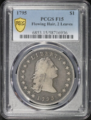 Obverse of this 1795 2 Leaves Flowing Hair Dollar PCGS F-15