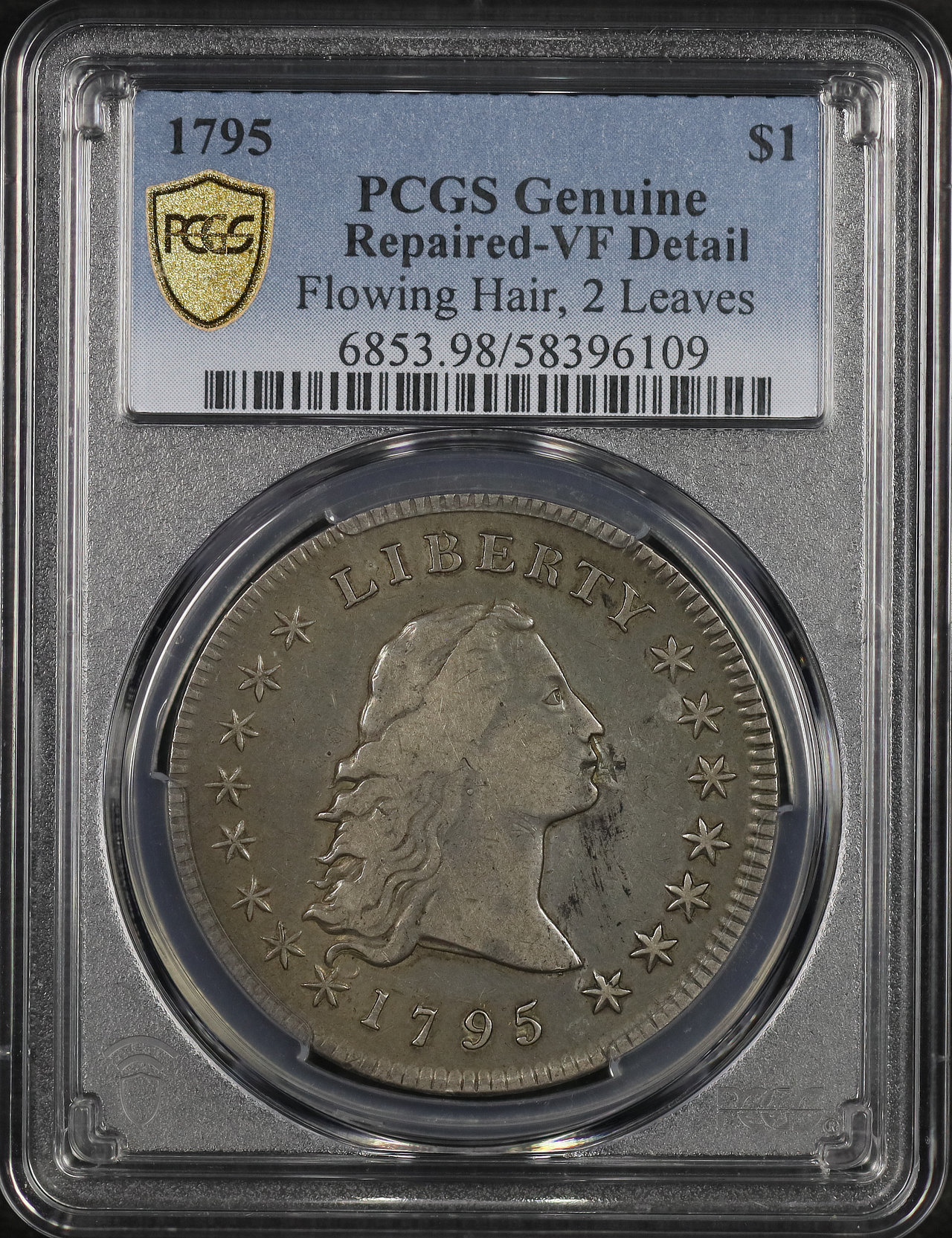 Obverse of this 1795 Flowing Hair 2 Leaves PCGS VF Details Repaired