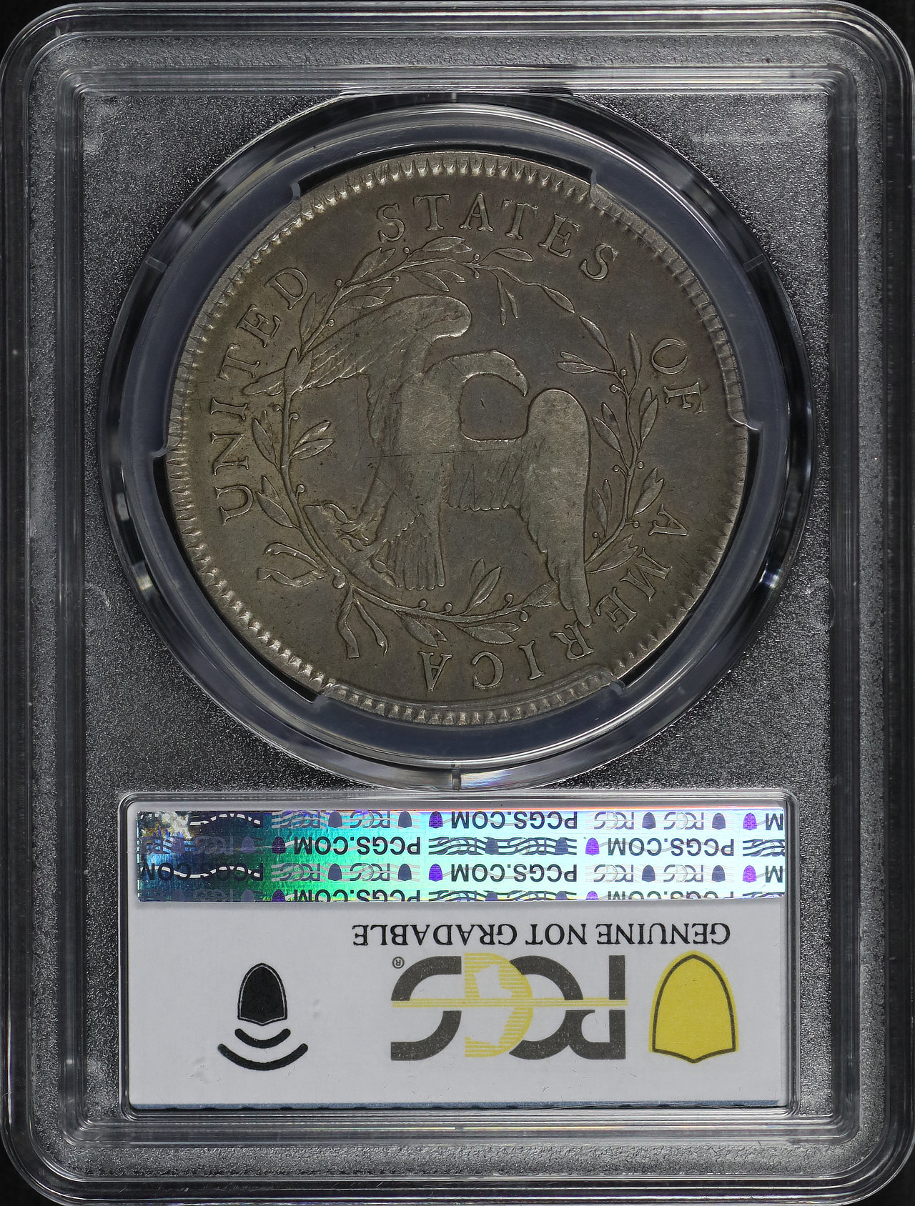 Reverse of this 1795 Flowing Hair 2 Leaves PCGS VF Details Repaired