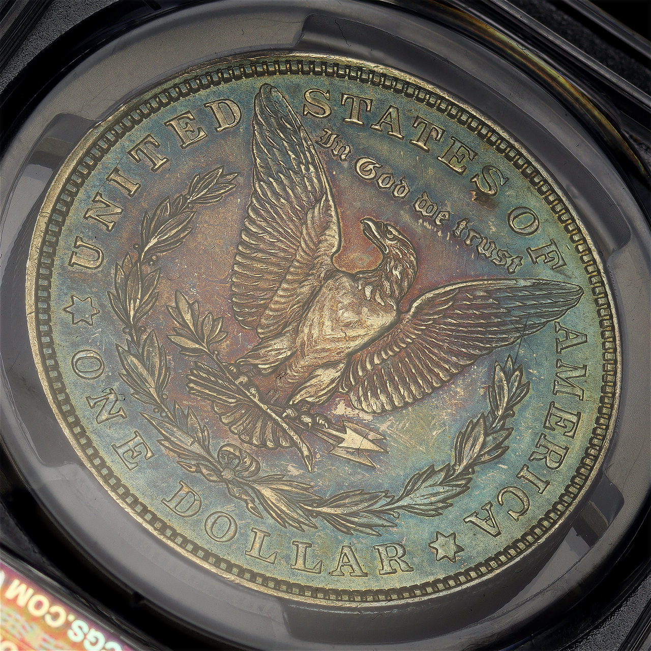 Gallery image of this 1921 Morgan Dollar PCGS MS-63 Near-Monochromatic Blueberry Toning