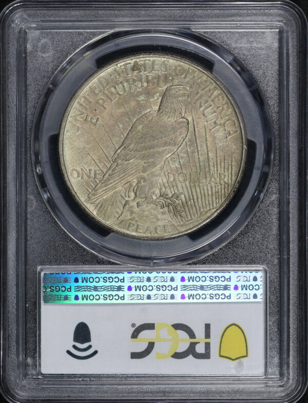 Reverse of this 1921 Peace Dollar PCGS MS-62