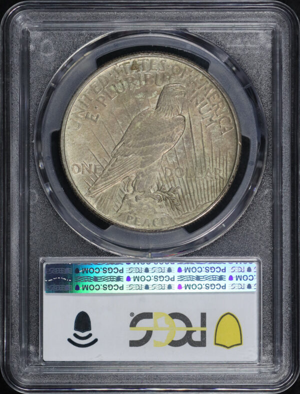 Reverse of this 1921 Peace Dollar PCGS MS-62