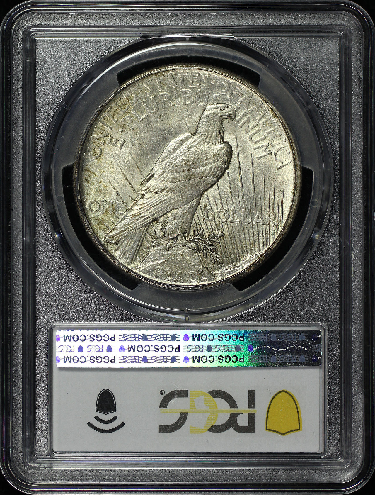 Reverse of this 1921 Peace Dollar PCGS MS-62
