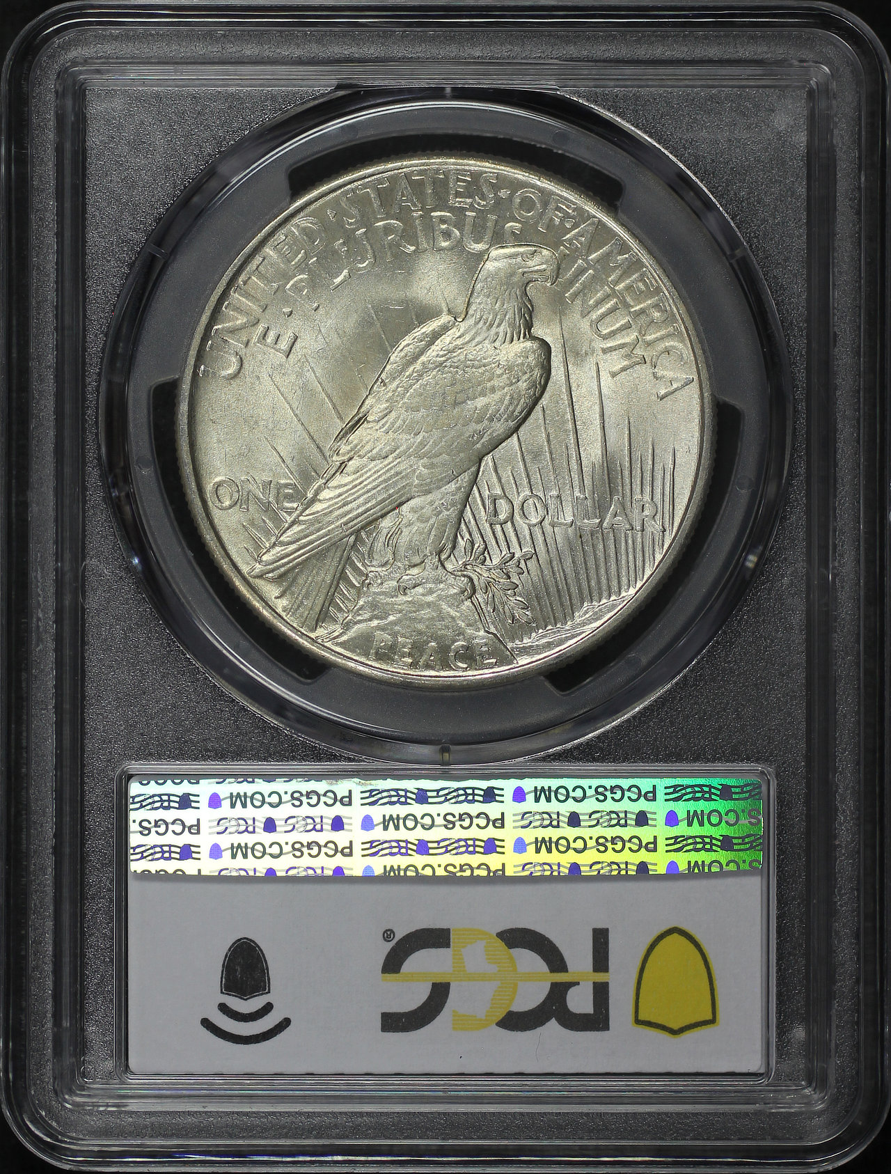 Reverse of this 1921 Peace Dollar PCGS MS-62