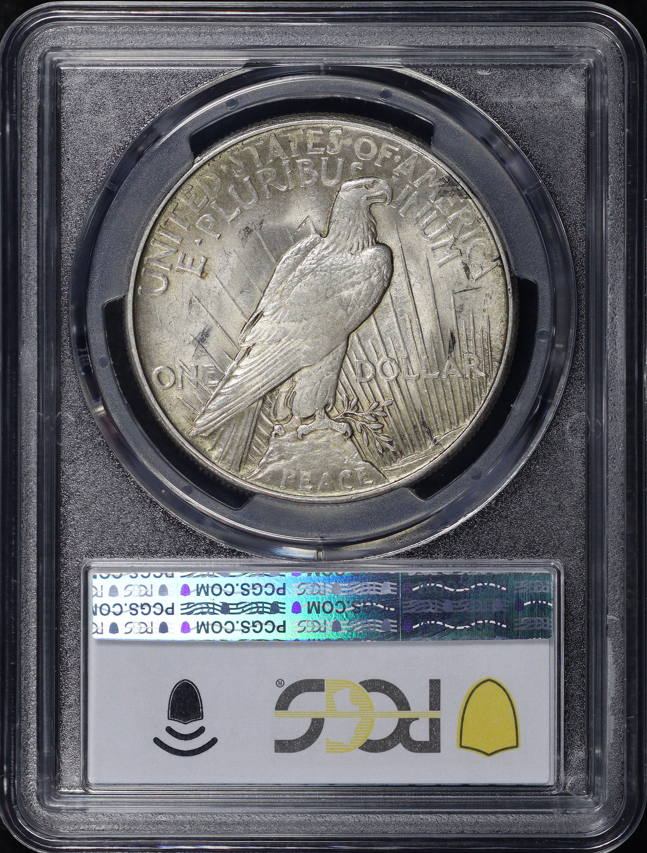 Reverse of this 1921 High Relief Peace Dollar PCGS MS-63