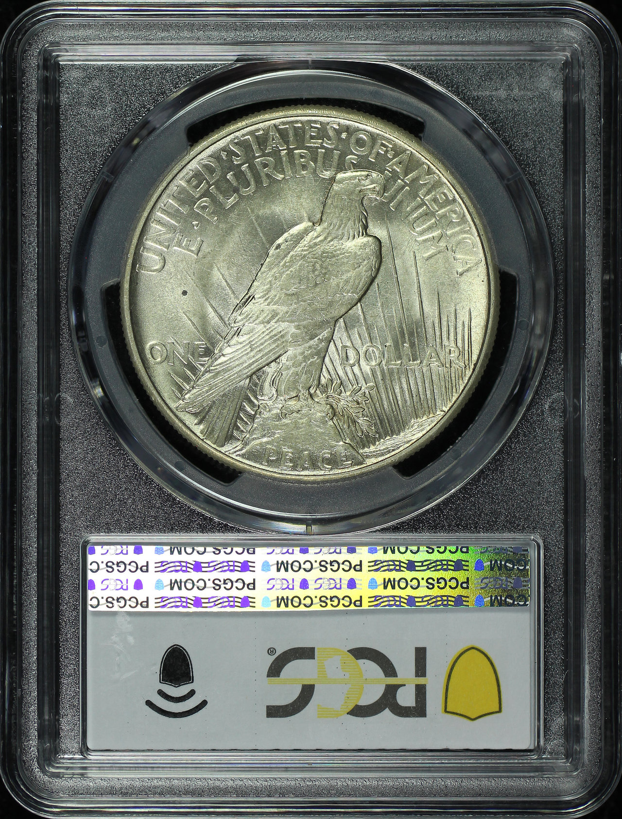 Reverse of this 1921 Peace Dollar PCGS MS-63