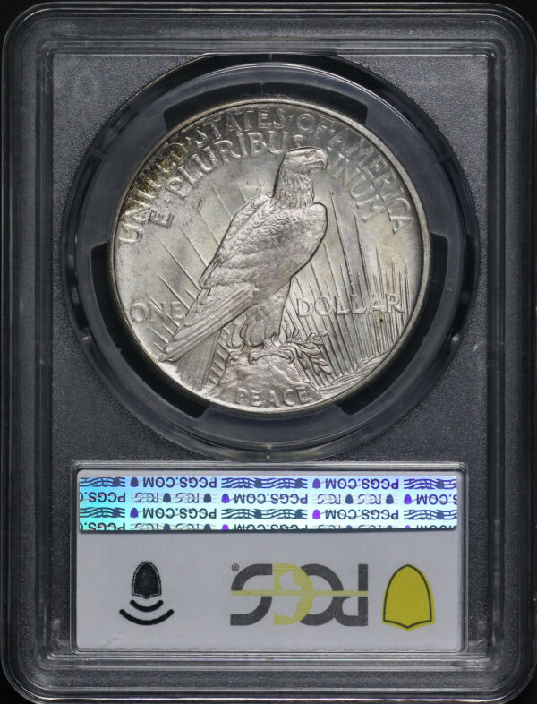 Reverse of this 1921 Peace Dollar PCGS MS-65