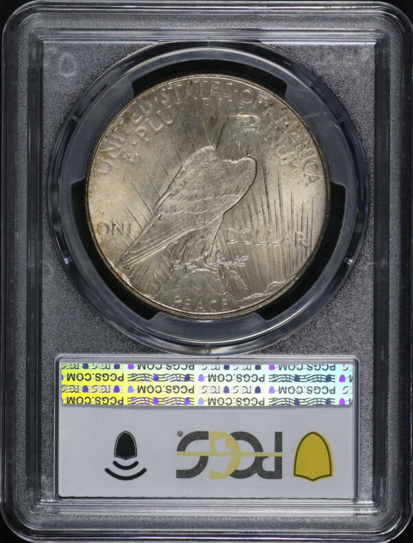 Reverse of this 1934 Peace Dollar PCGS MS-65
