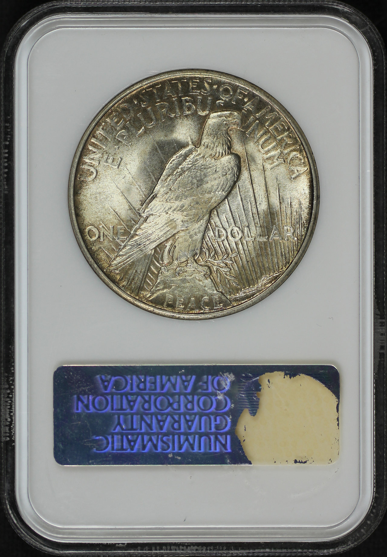 Reverse of this 1921 Peace Dollar High Relief NGC MS-62 Old Fatty Holder