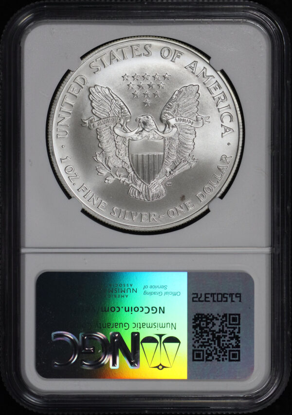 Reverse of this 1995 Silver Eagle NGC MS-69 Reverse Struck Thru
