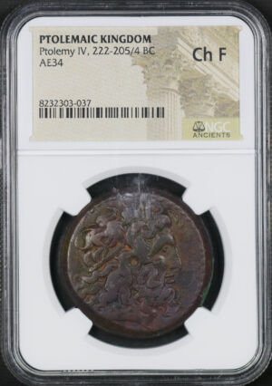 Obverse of this Ptolemaic Kingdom Ptolemy IV, 222-205/4 BC AE34 NGC Ch F