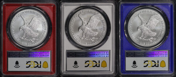 Reverse of this 2023-W Silver Eagle Burnished 3 Coin Set PCGS SP-70 First Day of Issue-Red,White,Blue Core