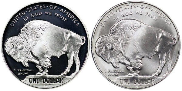 2001-P Two Coin Piece American Buffalo Commemorative $1 Silver Proof OGP - Image 2